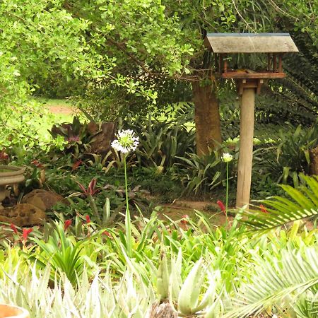 Kiaat Bungalows Hazyview Buitenkant foto