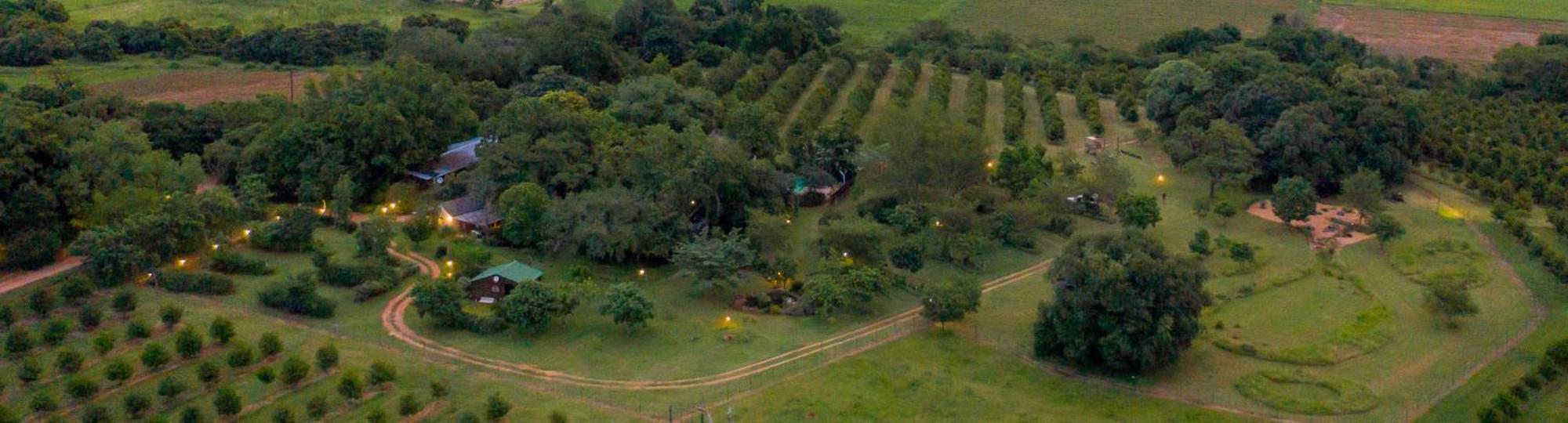 Kiaat Bungalows Hazyview Buitenkant foto