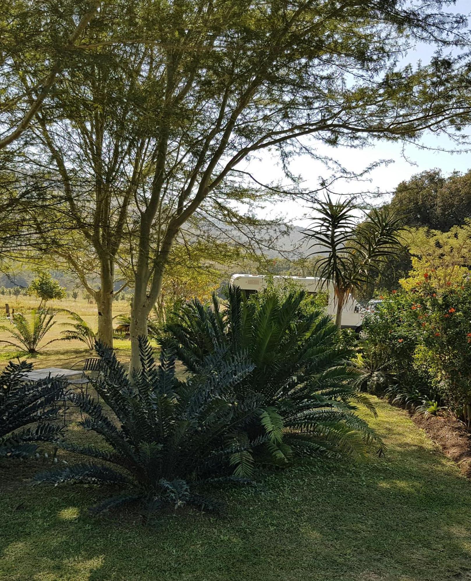 Kiaat Bungalows Hazyview Buitenkant foto